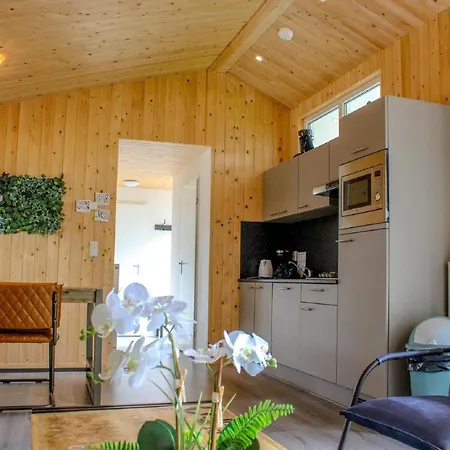 Comfortable With Combination Microwave Near The Veluwe Chalé Hoenderloo