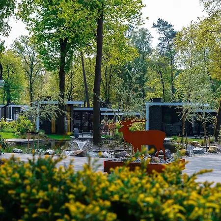 Comfortable With Combination Microwave Near The Veluwe
